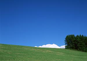浜松市中央区にある富士葬祭 森田町：家族葬から一般葬まで対応の安心できる葬儀場