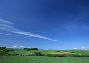 静岡県浜松市中央区にある家族葬のタクセル住吉：安心・低価格・宗派対応の葬儀場
