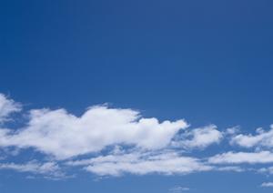 静岡県焼津市に新規オープン！家族葬専門の「家族葬のタクセル西焼津」の魅力と詳細情報